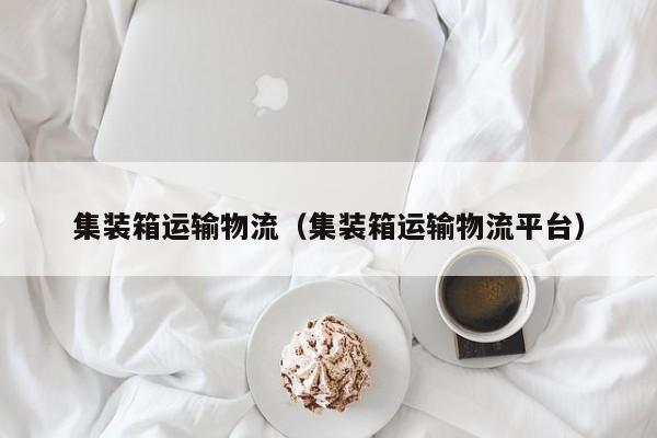 集装箱运输物流（集装箱运输物流平台）