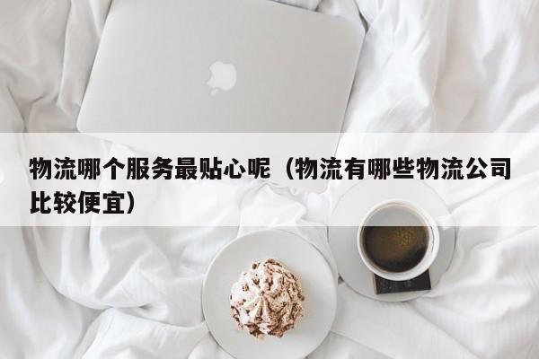 物流哪个服务最贴心呢（物流有哪些物流公司比较便宜）